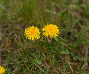 Codziennik Muzealny - Wiosna w ciechanowieckim muzeum Codziennik Muzealny - Wiosna w ciechanowieckim muzeum