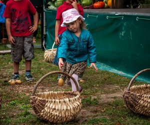 Jesień w polu i zagrodzie Jesień w polu i zagrodzie