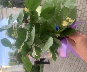 NIECOdziennik Muzealny - Żywa tradycja NIECOdziennik Muzealny - Żywa tradycja