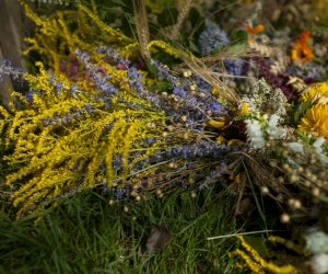 XX Podlaskie Święto Chleba - fotorelacja XX Podlaskie Święto Chleba - fotorelacja