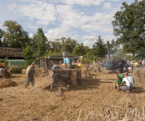 XVI Podlaskie Święto Chleba XVI Podlaskie Święto Chleba