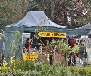 Deszczowy Jarmark Deszczowy Jarmark