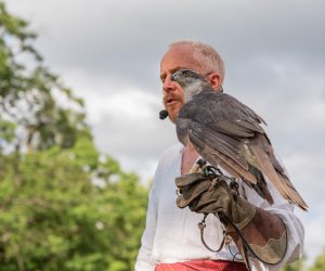 14 Zajazd Wysokomazowiecki - fotorelacja 14 Zajazd Wysokomazowiecki - fotorelacja