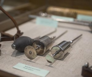 NIECOdziennik muzealny - Weterynaria NIECOdziennik muzealny - Weterynaria