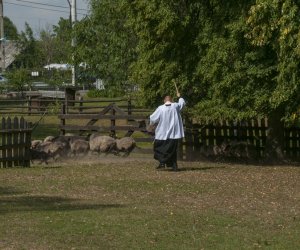 XX Podlaskie Święto Chleba - fotorelacja XX Podlaskie Święto Chleba - fotorelacja