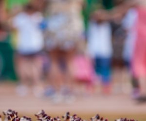 Odpust na św. Antoniego 2016