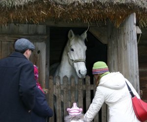 Szopka Bożonarodzeniowa