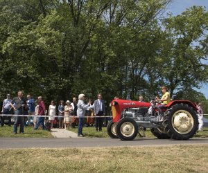 Piknik "Poznaj Zdrową Żywność" - fotorelacja Piknik "Poznaj Zdrową Żywność" - fotorelacja