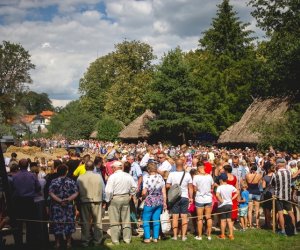 XIX Podlaskie Święto Chleba - fotorelacja XIX Podlaskie Święto Chleba - fotorelacja