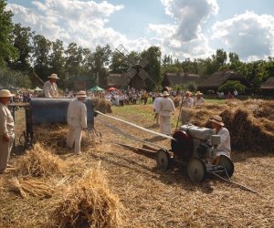 XIX Podlaskie Święto Chleba - fotorelacja XIX Podlaskie Święto Chleba - fotorelacja