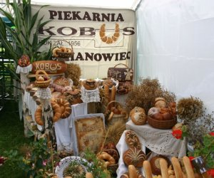 VII PODLASKIE ŚWIĘTO CHLEBA VII PODLASKIE ŚWIĘTO CHLEBA