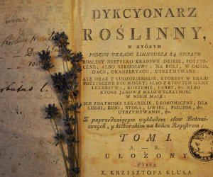 DZIAŁ TRADYCJI ZIELARSKICH DZIAŁ TRADYCJI ZIELARSKICH