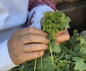 Wianki w Oktawę Bożego Ciała Wianki w Oktawę Bożego Ciała