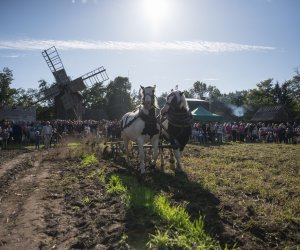 Jesień w polu i zagrodzie 2021 - fotorelacja