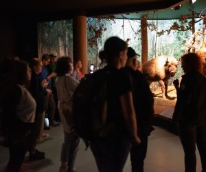 Konferencja Naukowo-Szkoleniowa III PARAZYTOZY ZWIERZĄT - fotorelacja