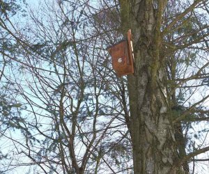 Nowe budki lęgowe w muzealnym parku Nowe budki lęgowe w muzealnym parku