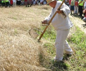 IX Podlaskie Święto Chleba IX Podlaskie Święto Chleba