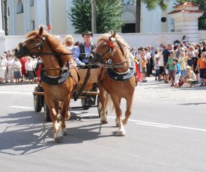 IX Podlaskie Święto Chleba IX Podlaskie Święto Chleba