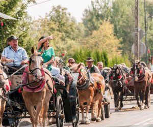 Święto Chleba po raz trzynasty Święto Chleba po raz trzynasty