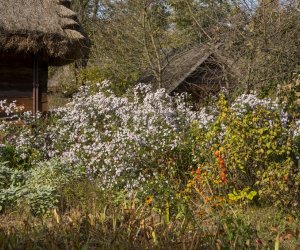 NIECOdziennik muzealny - Wieś w październiku NIECOdziennik muzealny - Wieś w październiku