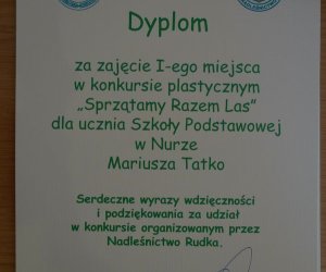 Z drugiej strony zielonego lustra Z drugiej strony zielonego lustra