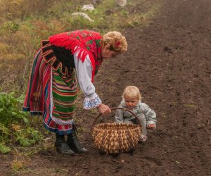 Wykopki w Skansenie 2013 Wykopki w Skansenie 2013