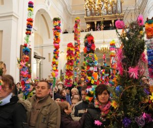 Galeria - Niedziela Palmowa 2012 Galeria - Niedziela Palmowa 2012