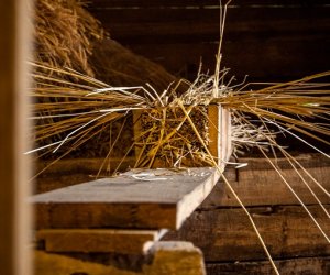 Jesień w polu i zagrodzie Jesień w polu i zagrodzie