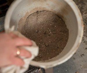 NIECOdziennik Muzealny - Ostatki i popielec NIECOdziennik Muzealny - Ostatki i popielec