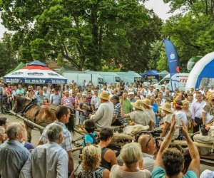 Święto Chleba po raz trzynasty Święto Chleba po raz trzynasty