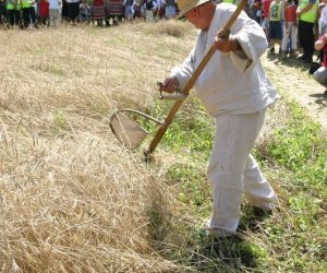 IX Podlaskie Święto Chleba IX Podlaskie Święto Chleba