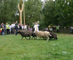 VIII PODLASKIE ŚWIĘTO CHLEBA