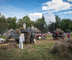 XVIII Podlaskie Święto Chleba - fotorelacja XVIII Podlaskie Święto Chleba - fotorelacja